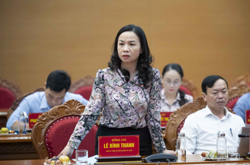 Phó Chủ tịch Quốc hội, Thượng tướng Trần Quang Phương chủ trì cuộc làm việc với Thường trực HĐND tỉnh Bình Định -0