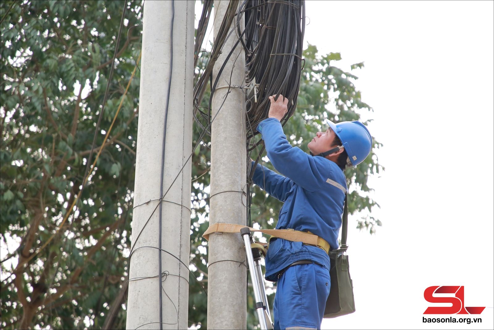 Bắc Yên - Sơn La nỗ lực chuyển đổi số- Ảnh 4. Bắc Yên - Sơn La nỗ lực chuyển đổi số- Ảnh 4.