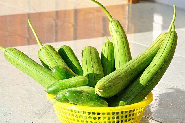 Loại quả là ‘nhân sâm’ của người nghèo, ăn vào bổ não, đẹp da, chợ Việt bán rất rẻ- Ảnh 3. Loại quả là ‘nhân sâm’ của người nghèo, ăn vào bổ não, đẹp da, chợ Việt bán rất rẻ- Ảnh 3.