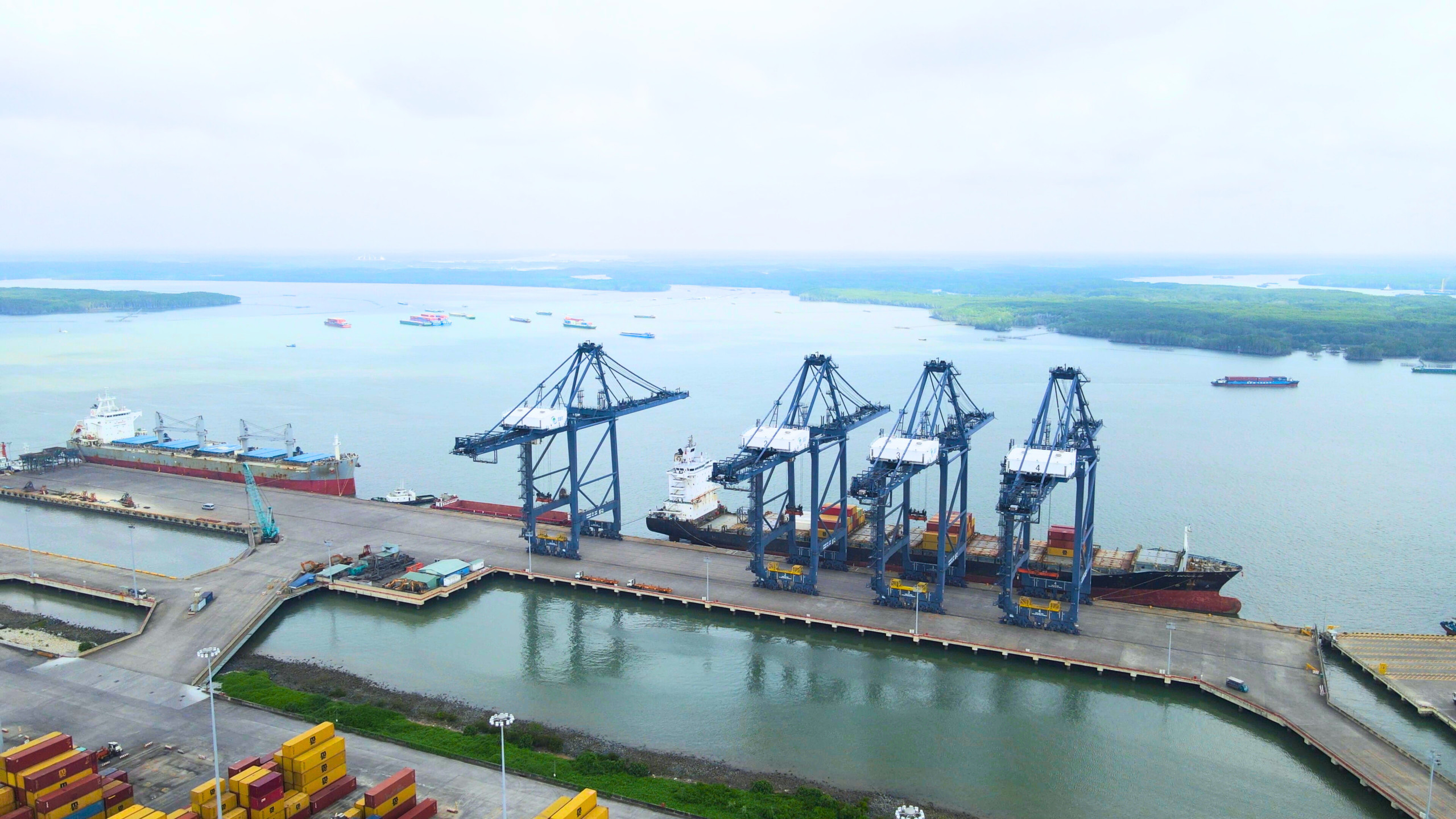 Cảng SSIT đón tàu tuyến dịch vụ nội Á mới của hãng tàu container lớn nhất thế giới- Ảnh 3. Cảng SSIT đón tàu tuyến dịch vụ nội Á mới của hãng tàu container lớn nhất thế giới- Ảnh 3.