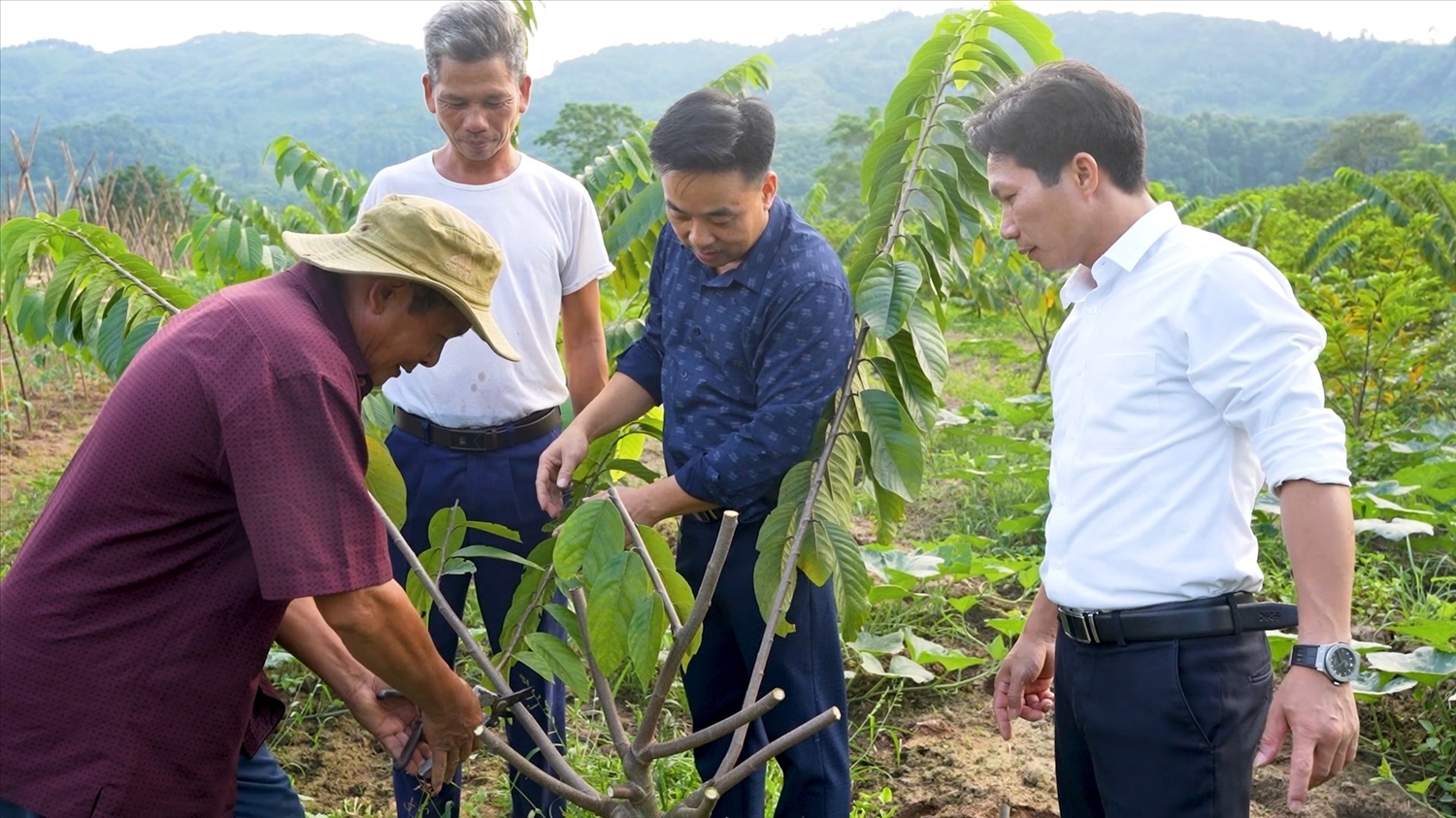 Nông dân xã Thái Niên, huyện Bảo Thắng, Lào Cai tăng cường áp dụng khoa học kỹ thuật vào sản xuất. Nông dân xã Thái Niên, huyện Bảo Thắng, Lào Cai tăng cường áp dụng khoa học kỹ thuật vào sản xuất.
