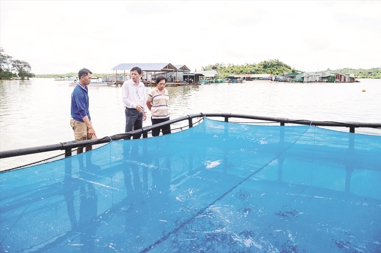 Mô hình nuôi cá lồng bè đang mang lại nguồn thu nhập cao cho các cư dân làng chài Sê San Mô hình nuôi cá lồng bè đang mang lại nguồn thu nhập cao cho các cư dân làng chài Sê San