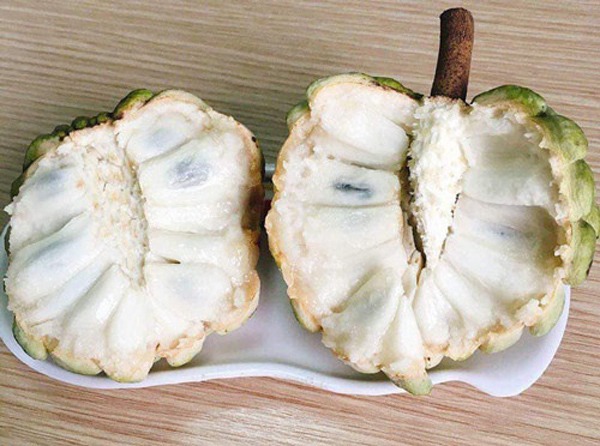 Bất ngờ loại quả ngon ngọt nhưng có tác dụng tốt cho quá trình điều trị bệnh tiểu đường, người Việt nên ăn để thường xuyên hơn - Ảnh 4. Bất ngờ loại quả ngon ngọt nhưng có tác dụng tốt cho quá trình điều trị bệnh tiểu đường, người Việt nên ăn để thường xuyên hơn - Ảnh 4.
