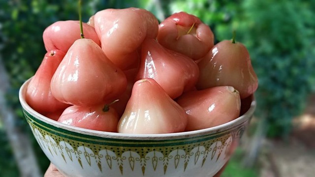 Loại quả đang bán đầy chợ Việt cực tốt cho đường huyết, người bệnh tiểu đường nên ăn để kéo dài tuổi thọ- Ảnh 3. Loại quả đang bán đầy chợ Việt cực tốt cho đường huyết, người bệnh tiểu đường nên ăn để kéo dài tuổi thọ- Ảnh 3.