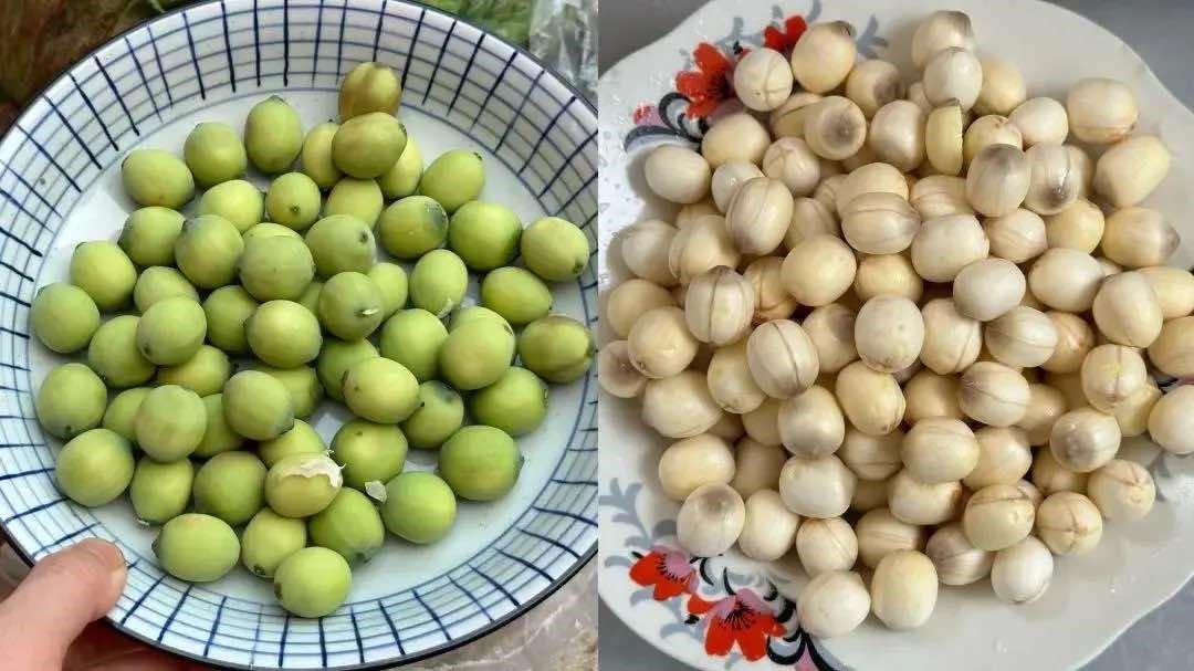 Món ăn này là "báu vật" sức khỏe: Nấu đơn giản nhưng giàu dinh dưỡng, giúp bổ tim, an thần và tăng miễn dịch - Ảnh 2. Món ăn này là "báu vật" sức khỏe: Nấu đơn giản nhưng giàu dinh dưỡng, giúp bổ tim, an thần và tăng miễn dịch - Ảnh 2.