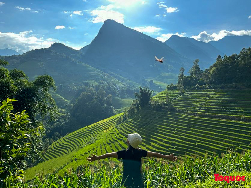 Mùa lúa non xanh mướt trên ruộng bậc thang Sa Pa - Ảnh 19. Mùa lúa non xanh mướt trên ruộng bậc thang Sa Pa - Ảnh 19.