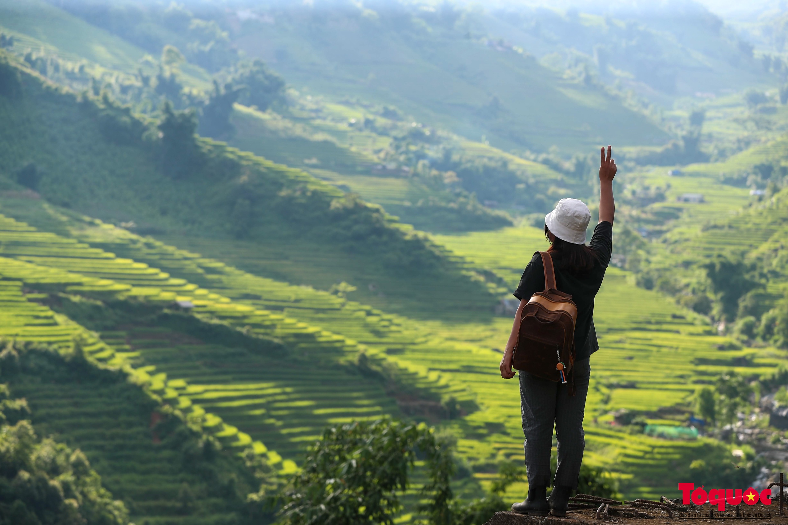 Mùa lúa non xanh mướt trên ruộng bậc thang Sa Pa - Ảnh 20. Mùa lúa non xanh mướt trên ruộng bậc thang Sa Pa - Ảnh 20.