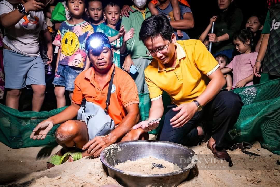 Ban đêm, dân làng ở Bình Định đi xem vô số quả trứng nở ra một loài động vật hoang dã ngộ nghĩnh- Ảnh 1. Ban đêm, dân làng ở Bình Định đi xem vô số quả trứng nở ra một loài động vật hoang dã ngộ nghĩnh- Ảnh 1.