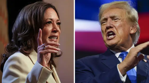 Chiến lược 2 bước của EU cho tình huống tái ngộ ông Trump- Ảnh 1. Chiến lược 2 bước của EU cho tình huống tái ngộ ông Trump- Ảnh 1.