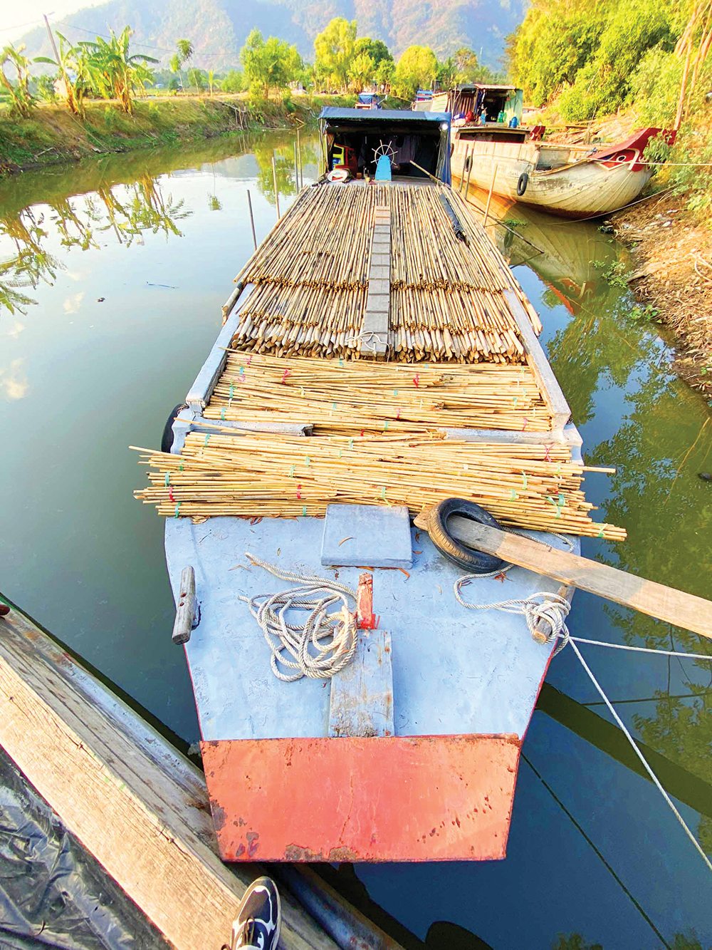 Chợ làng lạ lùng ở An Giang, trên bến dưới thuyền, tấp nập cả năm chỉ bán cây tầm vông thẳng tuột- Ảnh 1. Chợ làng lạ lùng ở An Giang, trên bến dưới thuyền, tấp nập cả năm chỉ bán cây tầm vông thẳng tuột- Ảnh 1.