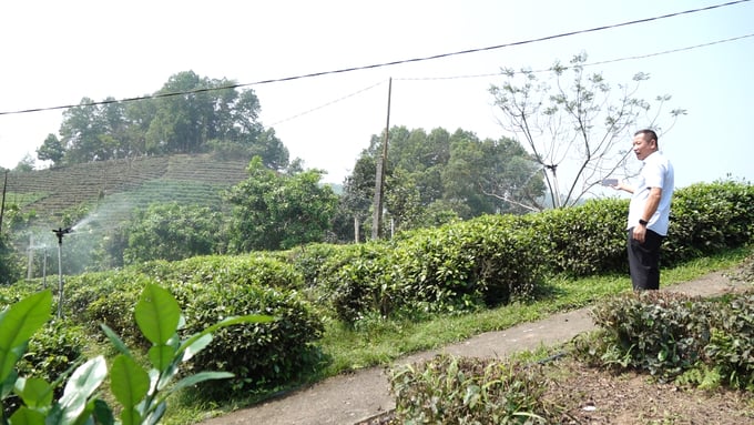 sequence-0100_01_34_17still012-160430_442.jpeg HTX Chè an toàn Khe Cốc (xã Tức Tranh, huyện Phú Lương, Thái Nguyên) ứng dụng công nghệ số trong canh tác, tưới tự động và tự cập nhật số liệu về điện thoại. Ảnh: Quang Linh.