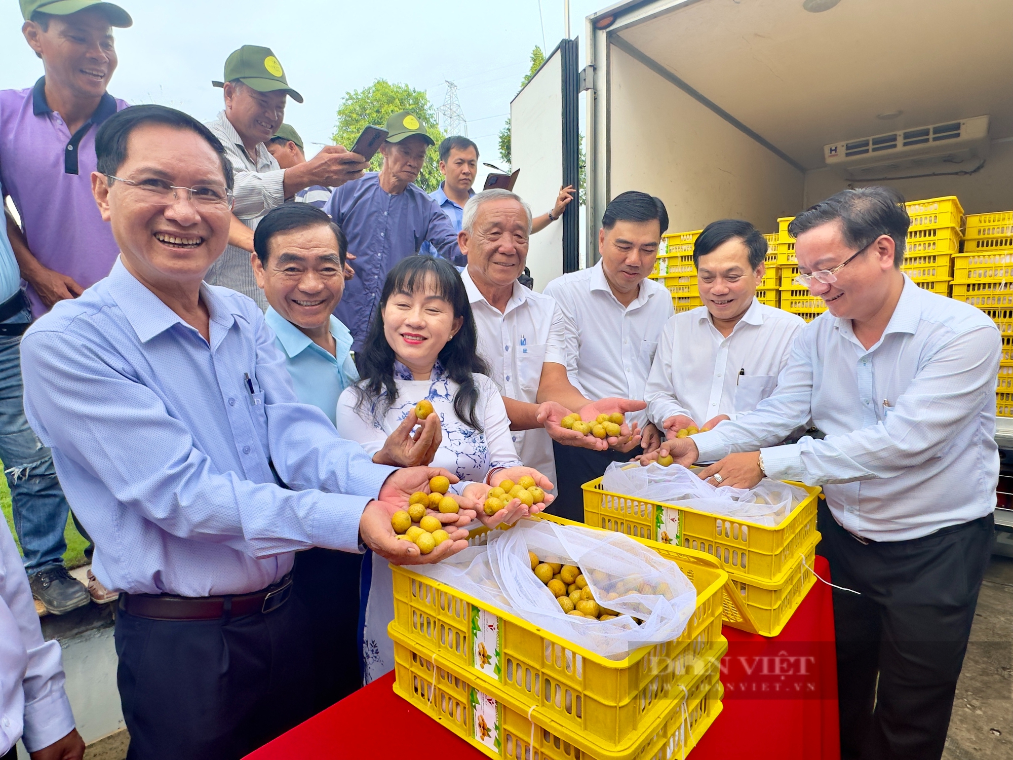 Cứ tới mùa, dân Mỹ lại chờ để mua ăn thanh nhãn, trái cây Cứ tới mùa, dân Mỹ lại chờ để mua ăn thanh nhãn, trái cây