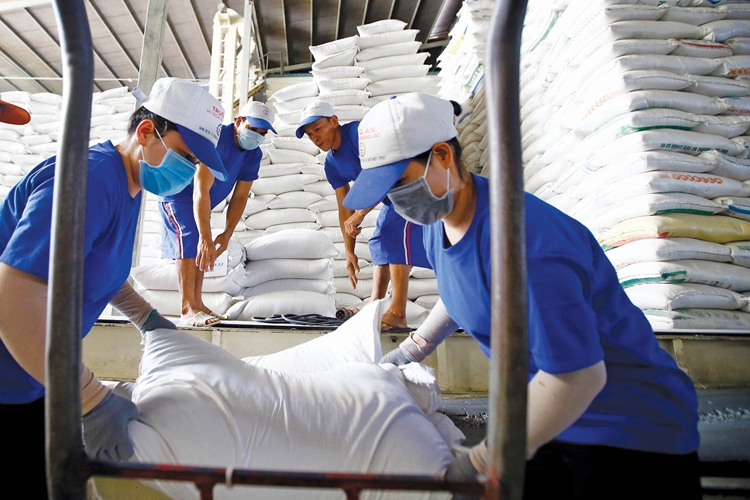 Đang bán lượng gạo khổng lồ đi khắp toàn cầu, vì sao Việt Nam vẫn chi gần 700 triệu USD để mua gạo?- Ảnh 1. Đang bán lượng gạo khổng lồ đi khắp toàn cầu, vì sao Việt Nam vẫn chi gần 700 triệu USD để mua gạo?- Ảnh 1.