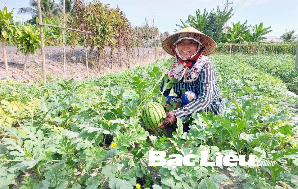 Đây là kiểu trồng cây, nuôi con mới ở Bạc Liêu, dân chuyển đổi thành công thu tiền nhiều hơn hẳn- Ảnh 1. Đây là kiểu trồng cây, nuôi con mới ở Bạc Liêu, dân chuyển đổi thành công thu tiền nhiều hơn hẳn- Ảnh 1.