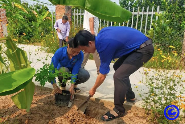 Đường hoa, trồng cây cảnh, hoa treo đẹp như phim ở một xã nông thôn mới kiểu mẫu tỉnh Tiền Giang- Ảnh 1. Đường hoa, trồng cây cảnh, hoa treo đẹp như phim ở một xã nông thôn mới kiểu mẫu tỉnh Tiền Giang- Ảnh 1.