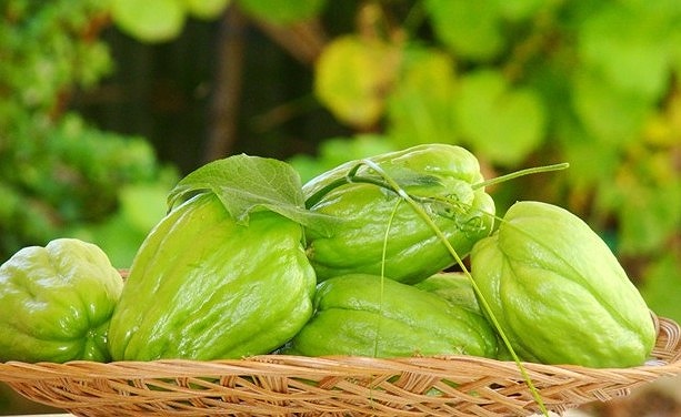 Thêm loại quả bán đầy chợ Việt, tốt cho đường huyết, người bệnh tiểu đường nên ăn để kéo dài tuổi thọ - Ảnh 2. Thêm loại quả bán đầy chợ Việt, tốt cho đường huyết, người bệnh tiểu đường nên ăn để kéo dài tuổi thọ - Ảnh 2.