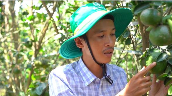 Với Phân Bón Cà Mau: Mùa nào cũng là mùa vàng- Ảnh 1. Với Phân Bón Cà Mau: Mùa nào cũng là mùa vàng- Ảnh 1.