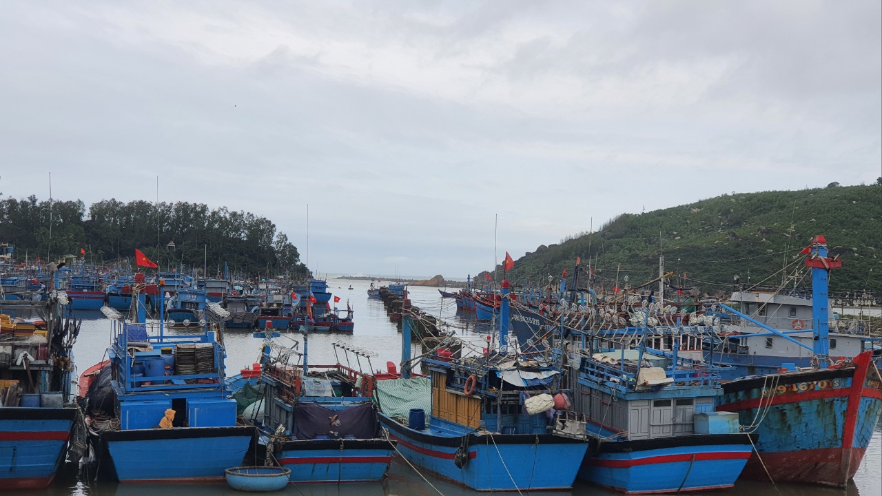 Nạo vét 90.000m3 bùn đất thông luồng cảng biển Mỹ Á- Ảnh 1. Nạo vét 90.000m3 bùn đất thông luồng cảng biển Mỹ Á- Ảnh 1.