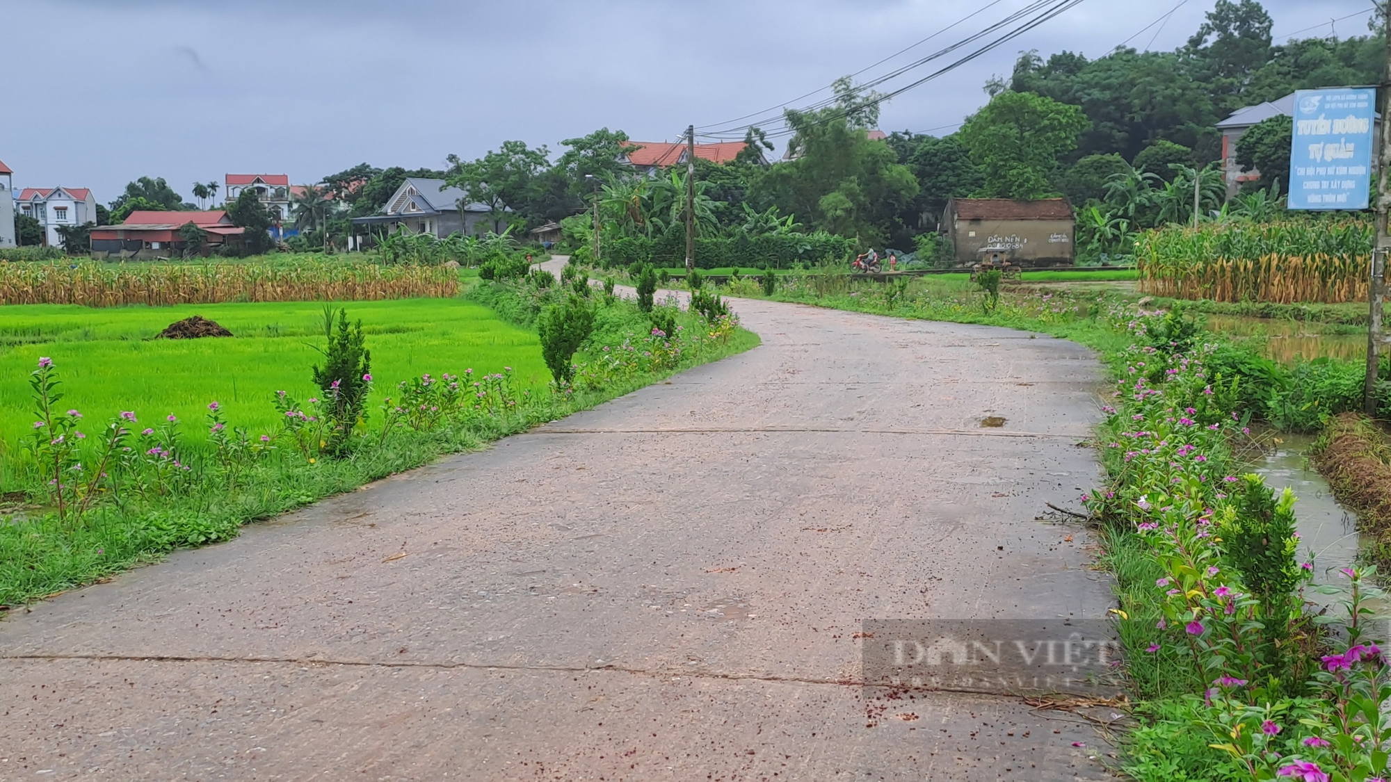 Thái Nguyên: Nông thôn mới ở huyện Phú Bình lan tỏa mô hình “nhà 3 sạch Thái Nguyên: Nông thôn mới ở huyện Phú Bình lan tỏa mô hình “nhà 3 sạch