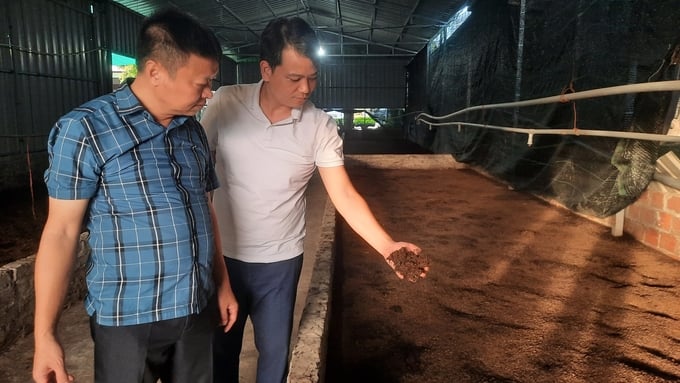 z5641139812896_d833f1595ecb00c580a81210f07a3f4e-120713_215.jpg Lãnh đạo Sở NN-PTNT tỉnh Quảng Ninh tham quan mô hình nuôi trùn quế tại HTX Nông nghiệp hữu cơ Hạ Long xanh. Ảnh: Nguyễn Thành.
