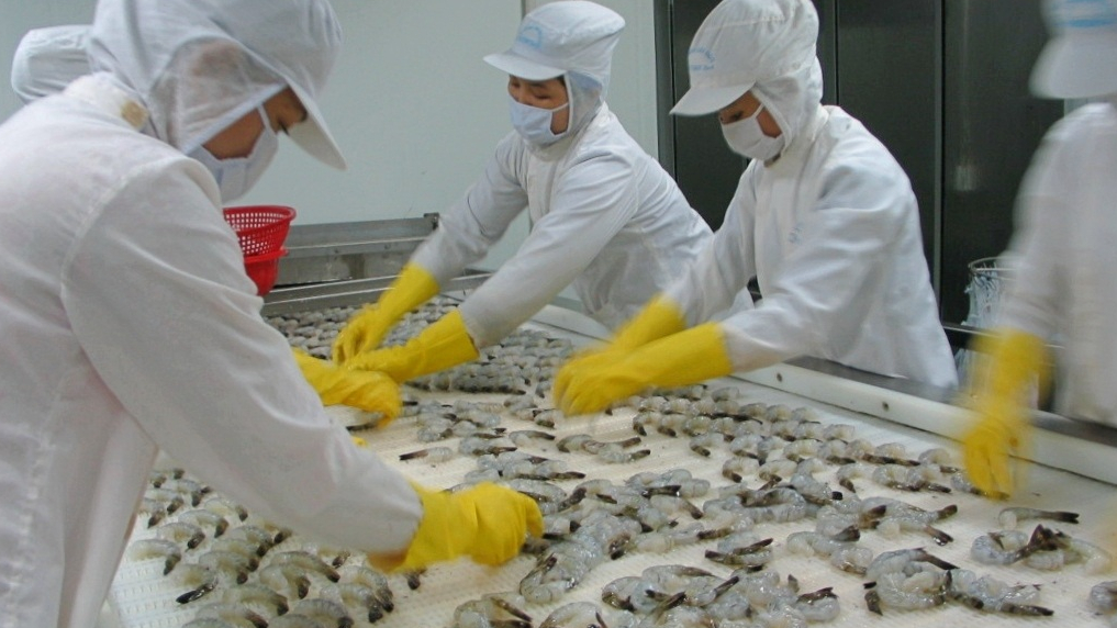 Sao Ta tăng 17% doanh số trong nửa đầu năm 2024, lo ngại kinh doanh năm nay khó chồng khó- Ảnh 1. Sao Ta tăng 17% doanh số trong nửa đầu năm 2024, lo ngại kinh doanh năm nay khó chồng khó- Ảnh 1.