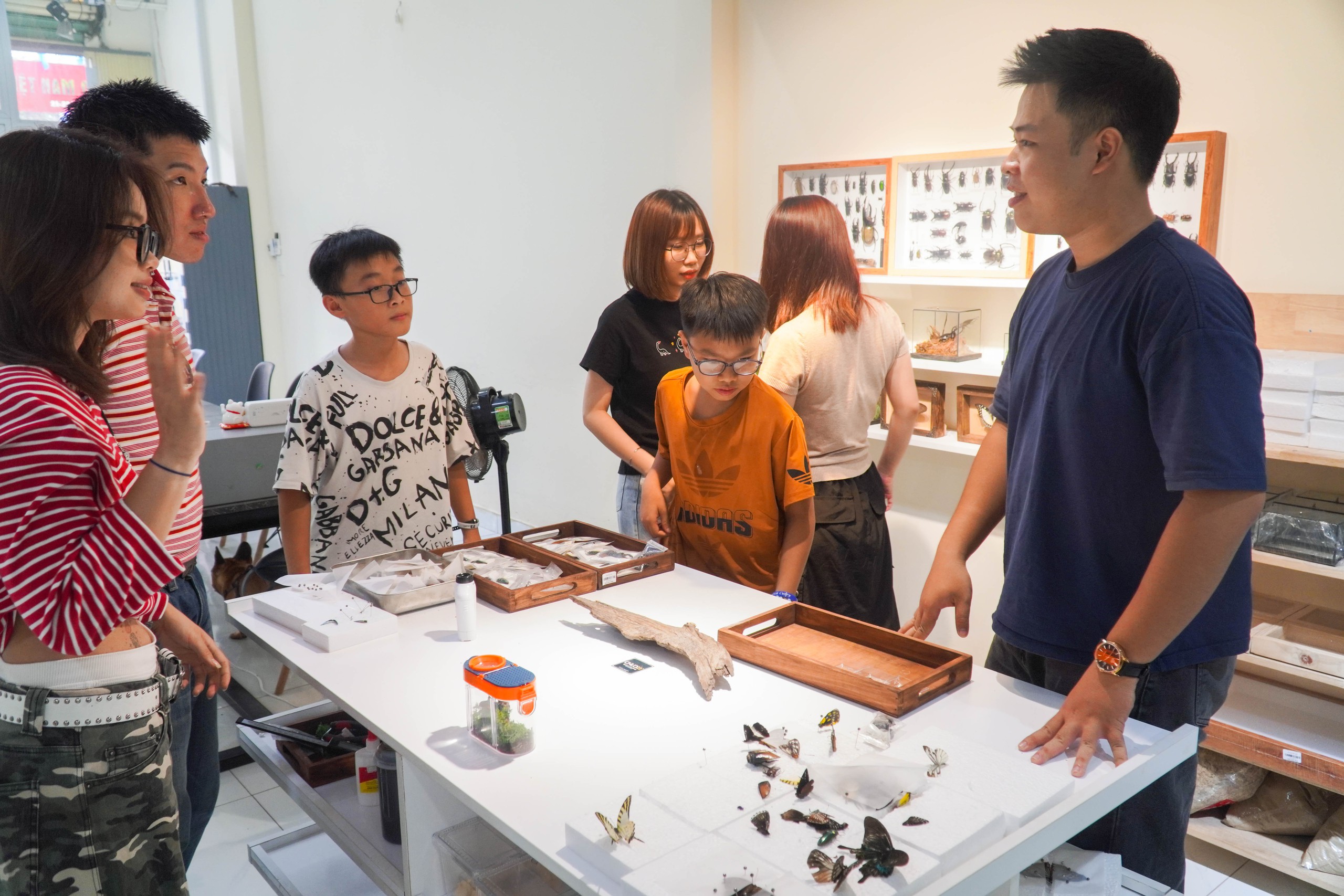 Sinh viên mở workshop làm tiêu bản, kết nối nhiều bạn bè quốc tế- Ảnh 1. Sinh viên mở workshop làm tiêu bản, kết nối nhiều bạn bè quốc tế- Ảnh 1.