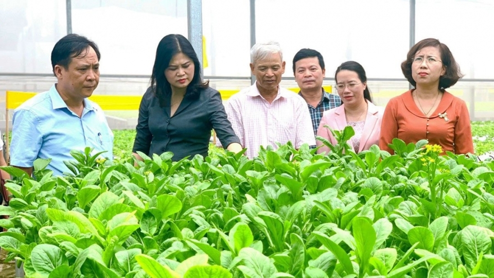 Nhờ nguồn vốn chính sách, mô hình trồng rau sạch của người dân xã Đa Tốn (huyện Gia Lâm, Hà Nội) mang lại thu nhập ổn định Ảnh: Phương Uyên
