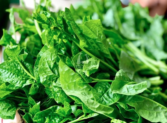Thêm một loại rau rẻ tiền bán đầy chợ Việt, người bệnh tiểu đường nên ăn để ổn định đường huyết- Ảnh 2. Thêm một loại rau rẻ tiền bán đầy chợ Việt, người bệnh tiểu đường nên ăn để ổn định đường huyết- Ảnh 2.