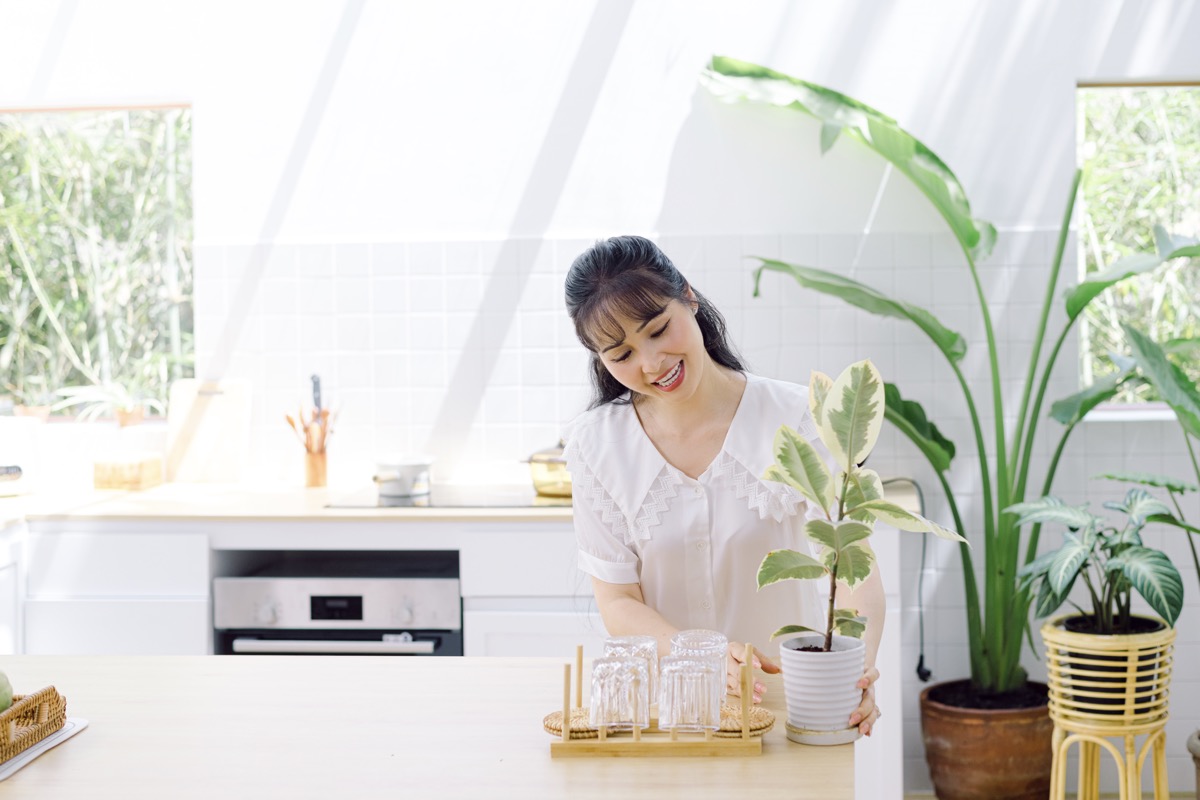 Trang Nhung tiếp bước Hoàng Thùy Linh mang âm hưởng dân tộc vào ca khúc "nịnh" chồng đại gia - Ảnh 2. Trang Nhung tiếp bước Hoàng Thùy Linh mang âm hưởng dân tộc vào ca khúc "nịnh" chồng đại gia - Ảnh 2.