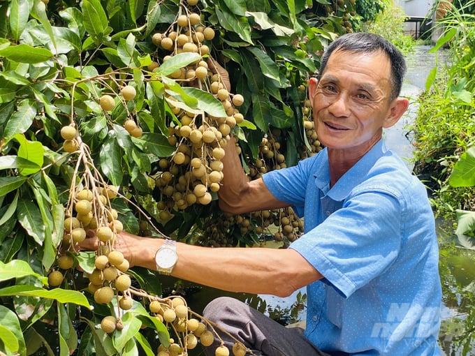 anh-1-122726_976-122726.jpg Ông Phạm Văn Lơ, Chủ tịch Hội đồng quản trị, Giám đốc HTX Nhãn Nhơn Nghĩa bên vườn nhãn hữu cơ của HTX. Ảnh: Lê Hoàng Vũ.