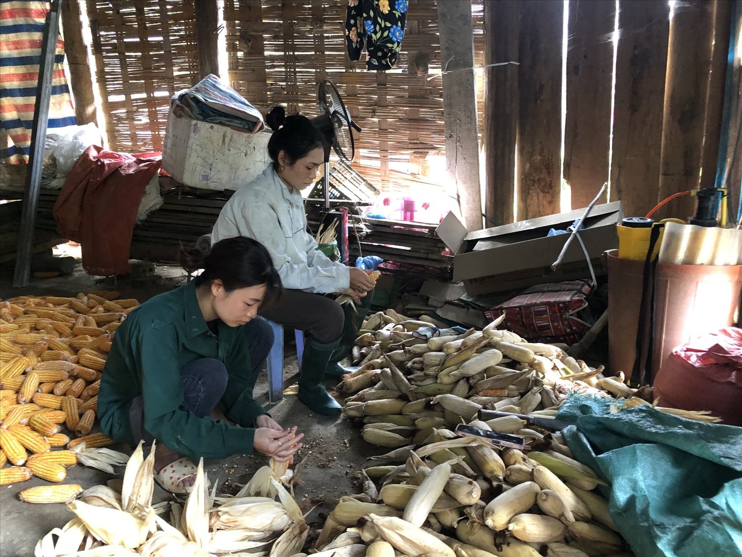 Do nghỉ việc không có thu nhập, gia đình chị Vi Thị Giang (áo xanh) không có điều kiện để tham gia BHYT tự nguyện Do nghỉ việc không có thu nhập, gia đình chị Vi Thị Giang (áo xanh) không có điều kiện để tham gia BHYT tự nguyện