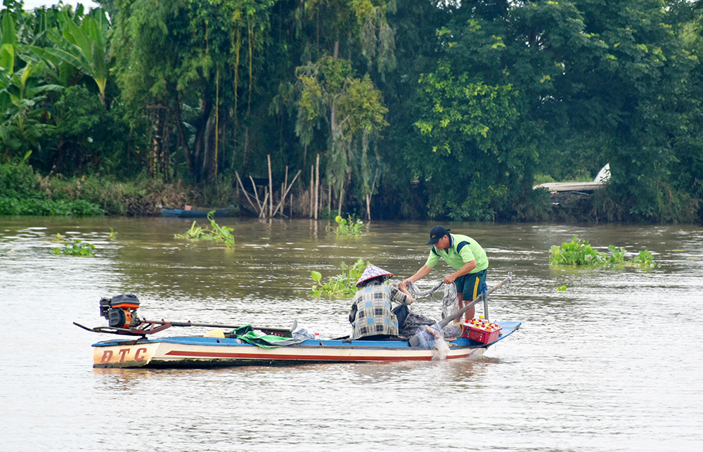Mùa nước nổi An Giang, dưới sông Mùa nước nổi An Giang, dưới sông