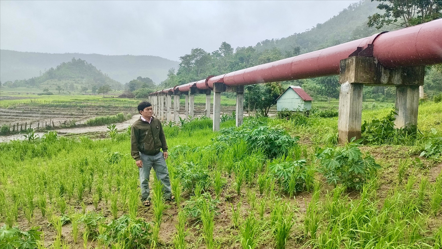 Tổng Bí thư đã chỉ đạo các cơ quan chức năng Trung ương, tỉnh Gia Lai phải ưu tiên nguồn vốn xây dựng công trình thủy lợi Pleikeo để đảm bảo nguồn nước tưới thường xuyên cho Ayun Tổng Bí thư đã chỉ đạo các cơ quan chức năng Trung ương, tỉnh Gia Lai phải ưu tiên nguồn vốn xây dựng công trình thủy lợi Pleikeo để đảm bảo nguồn nước tưới thường xuyên cho Ayun