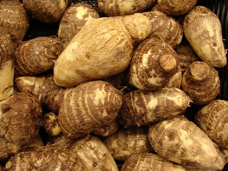 Chợ Việt có 1 loại củ là 'thuốc trường thọ', giúp hạ đường huyết, dưỡng thận, bổ máu cực hiệu quả- Ảnh 2. Chợ Việt có 1 loại củ là 'thuốc trường thọ', giúp hạ đường huyết, dưỡng thận, bổ máu cực hiệu quả- Ảnh 2.
