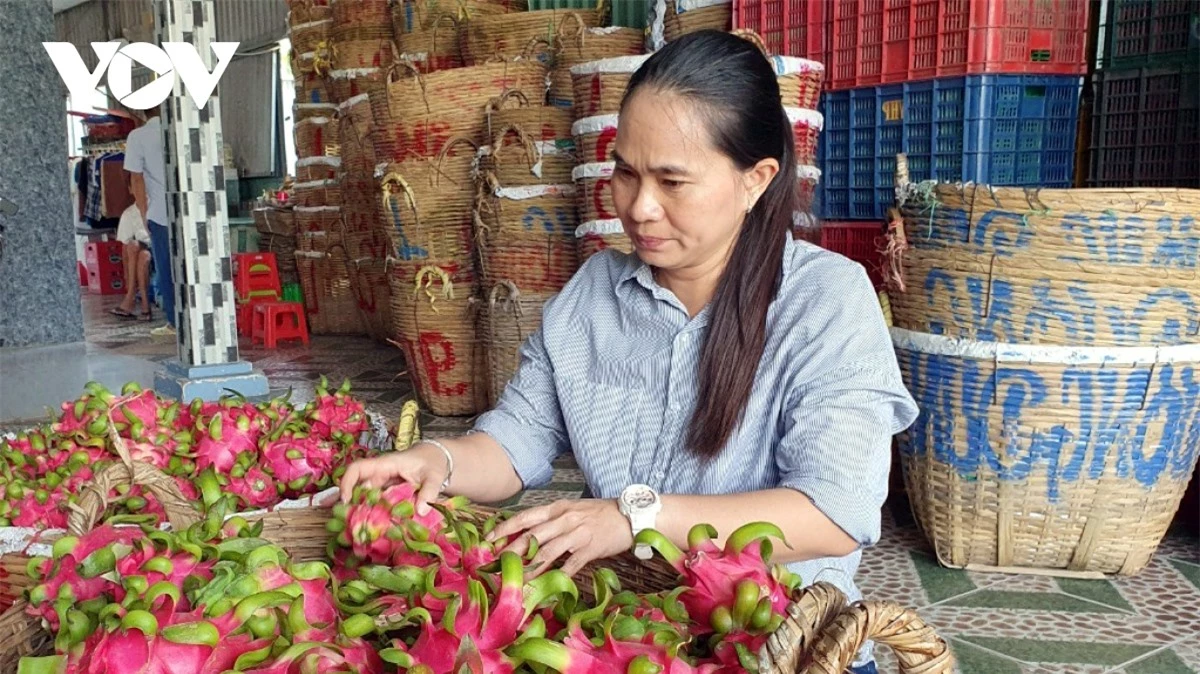 giá sầu riêng hơn 100.000 đồng kg, kỳ vọng góp 3 tỷ usd doanh số xuất khẩu hình ảnh 2 gia sau rieng hon 100.000 dong kg, ky vong gop 3 ty usd doanh so xuat khau hinh anh 2