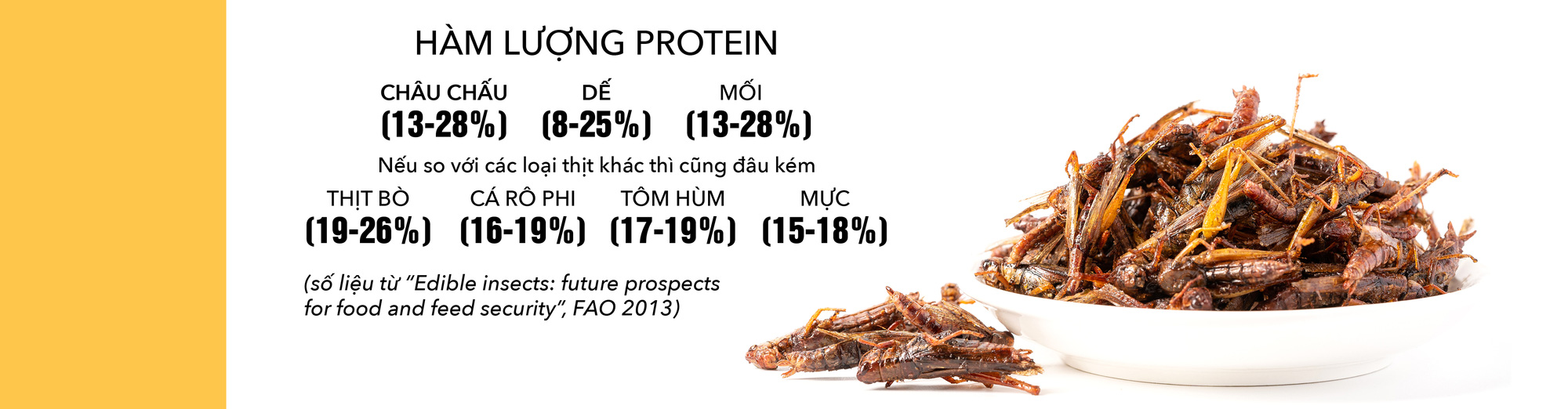 Món côn trùng, bếp núc ngày càng sáng tạo - Ảnh 5. Món côn trùng, bếp núc ngày càng sáng tạo - Ảnh 5.