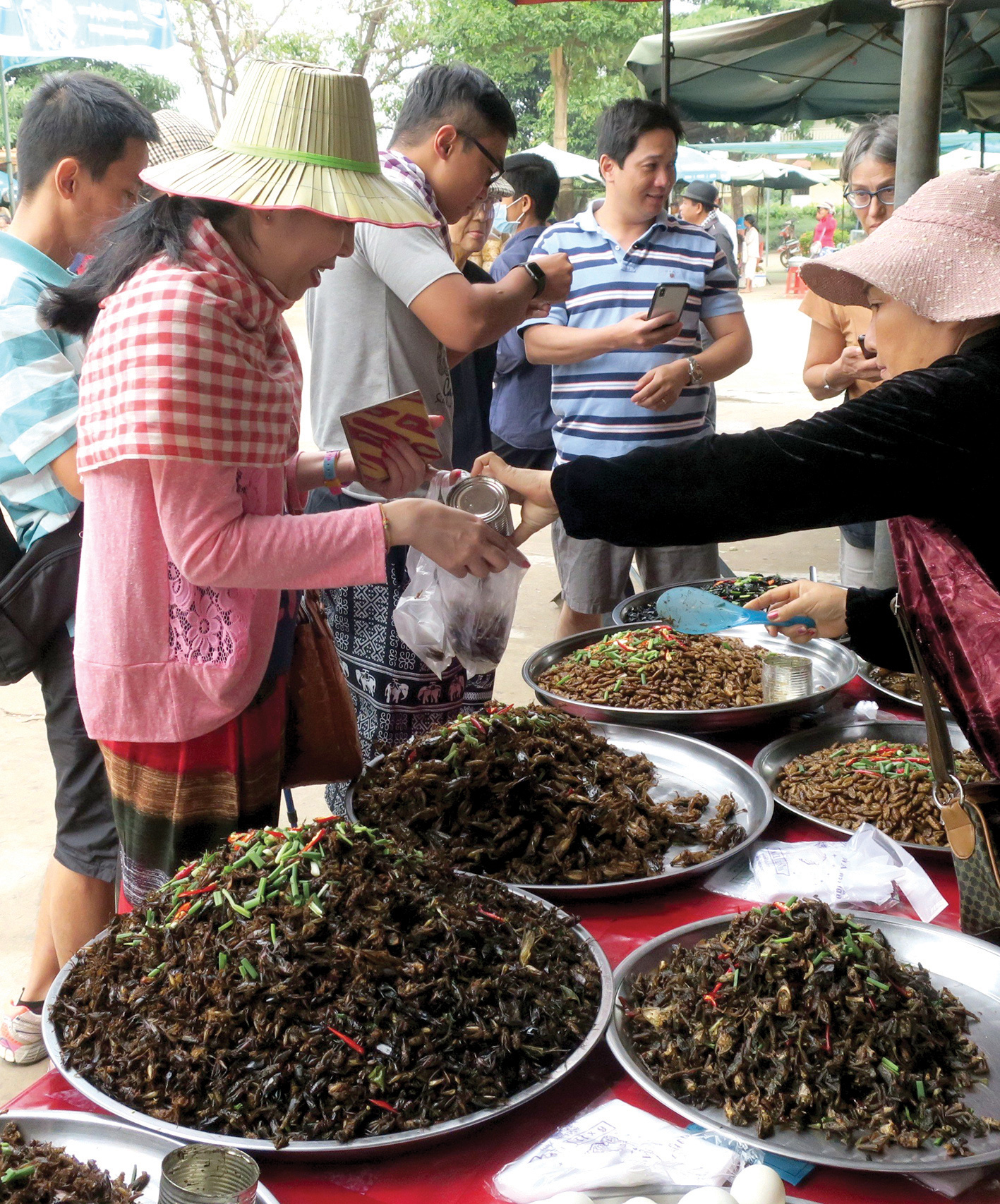 Món côn trùng, bếp núc ngày càng sáng tạo - Ảnh 6. Món côn trùng, bếp núc ngày càng sáng tạo - Ảnh 6.