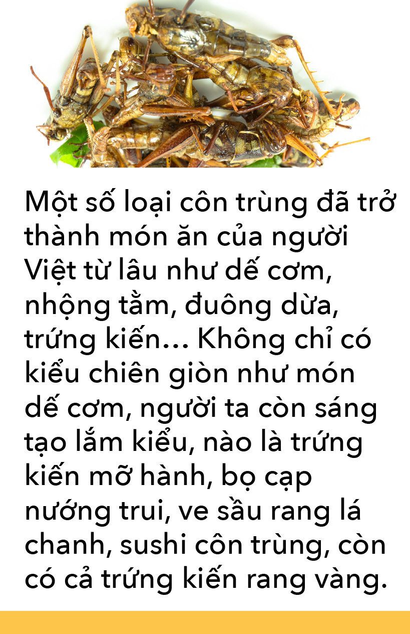 Món côn trùng, bếp núc ngày càng sáng tạo - Ảnh 11. Món côn trùng, bếp núc ngày càng sáng tạo - Ảnh 11.