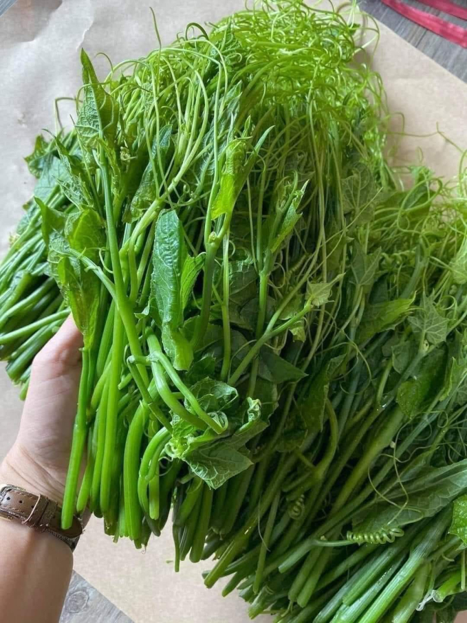 2 món ăn cực phổ biến trong mâm cơm Việt lọt top 'món xào ngon nhất thế giới' - Ảnh 5. 2 món ăn cực phổ biến trong mâm cơm Việt lọt top 'món xào ngon nhất thế giới' - Ảnh 5.