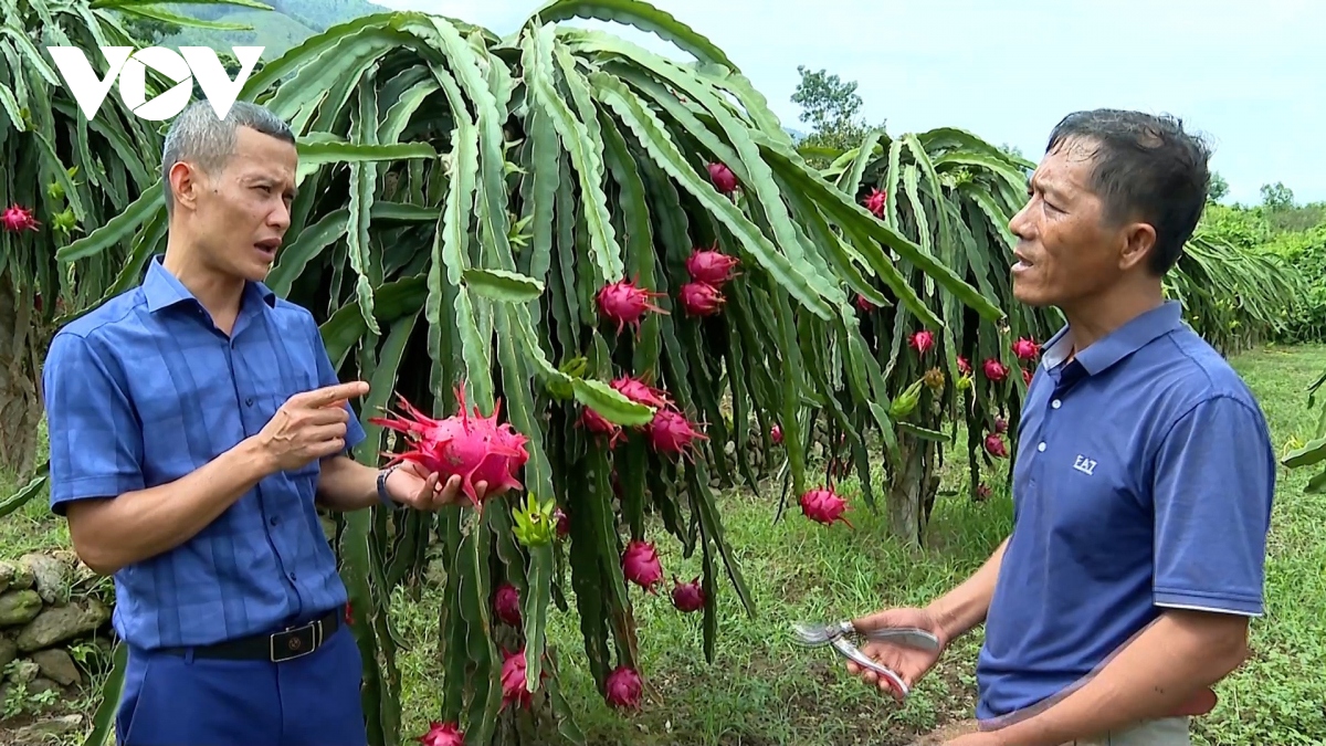 yên bái xây dựng nông thôn mới từ thế mạnh của địa phương hình ảnh 2 yen bai xay dung nong thon moi tu the manh cua dia phuong hinh anh 2