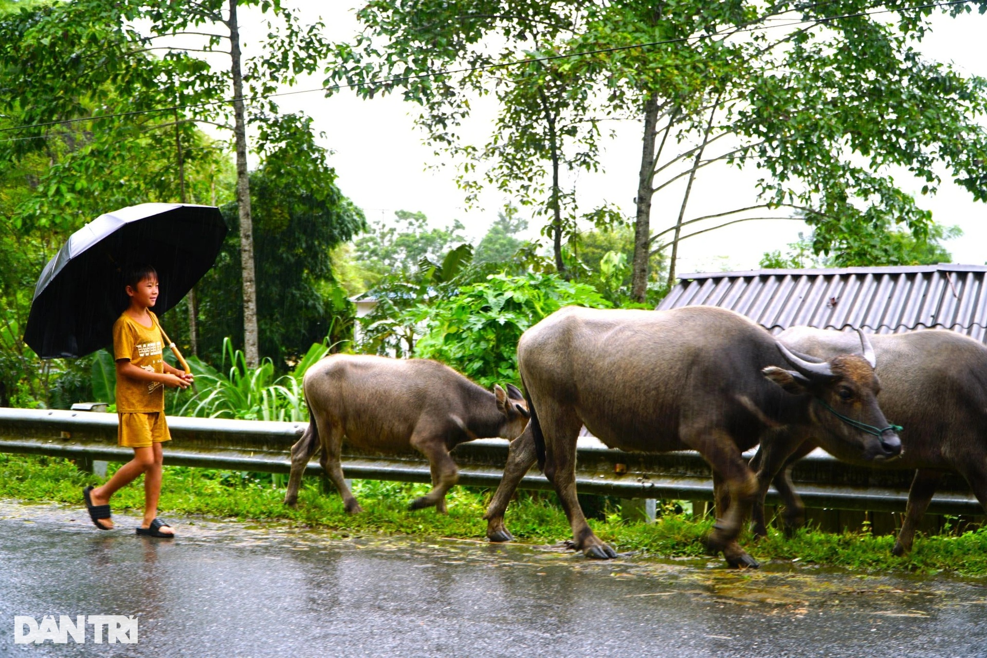 Kỳ nghỉ hè không như mơ của những đứa trẻ vùng cao - 5 Kỳ nghỉ hè không như mơ của những đứa trẻ vùng cao - 5
