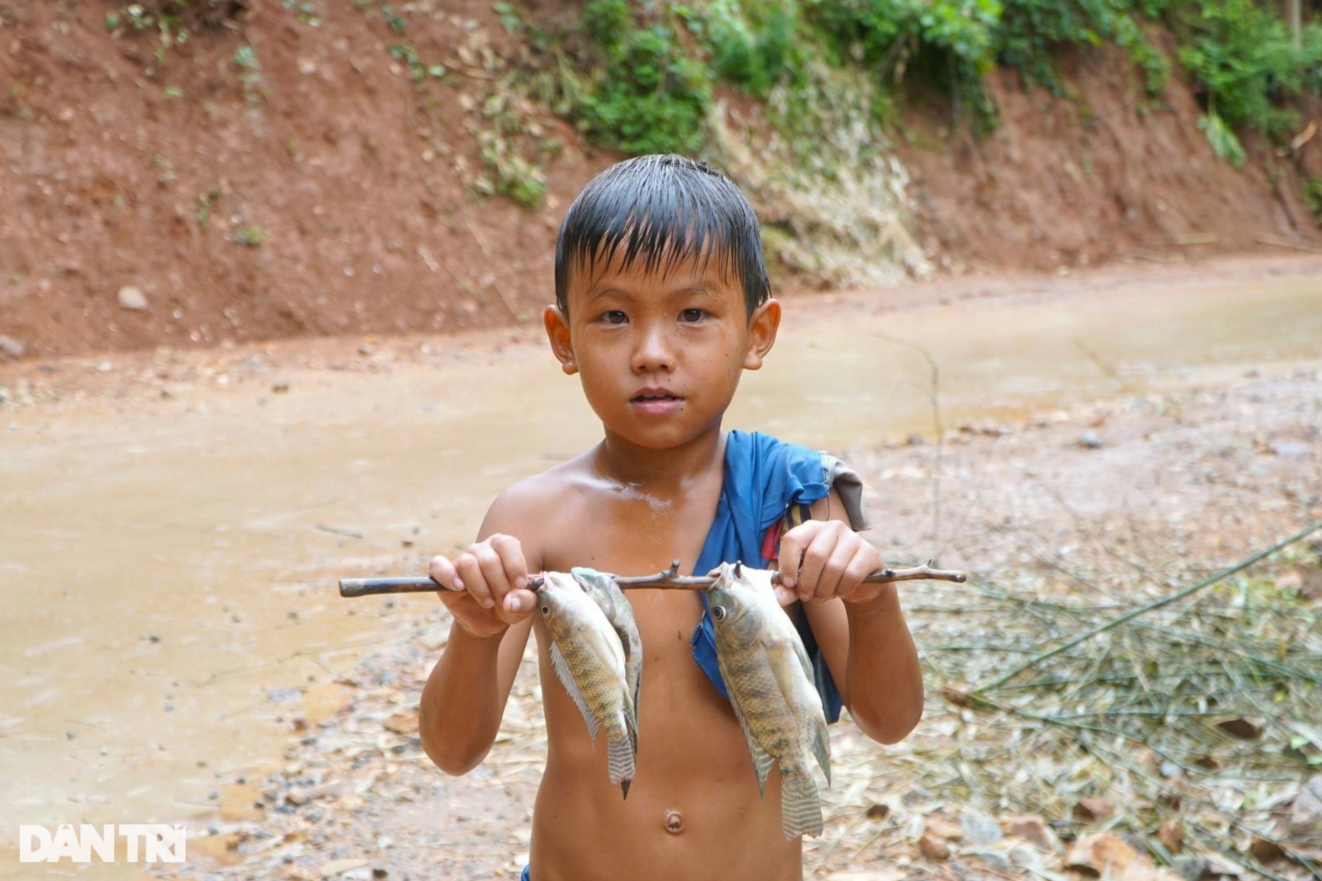 Kỳ nghỉ hè không như mơ của những đứa trẻ vùng cao - 8 Kỳ nghỉ hè không như mơ của những đứa trẻ vùng cao - 8