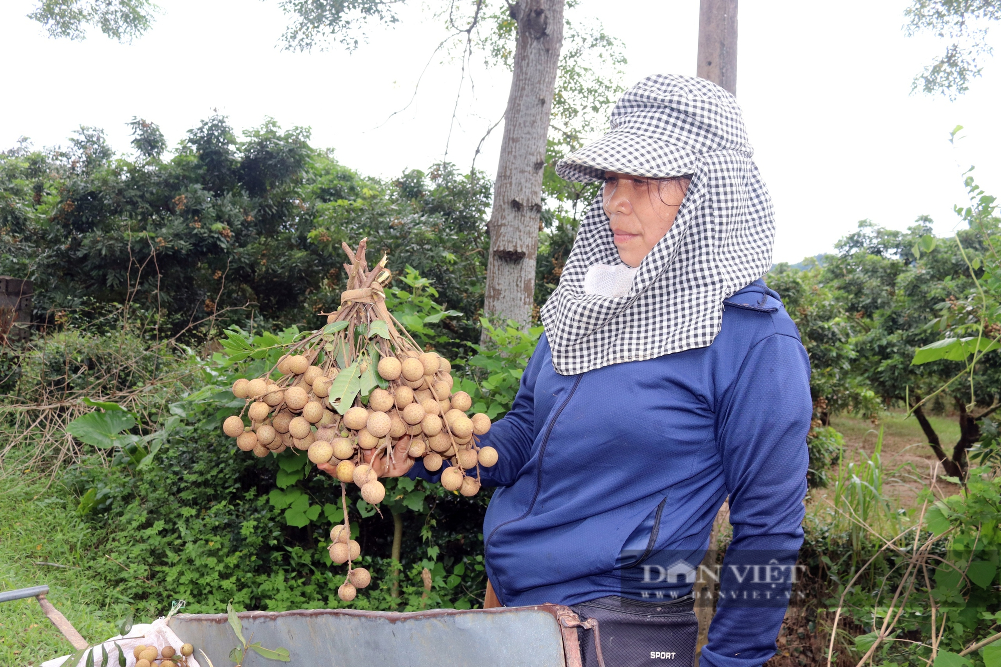 Thứ quả Thứ quả