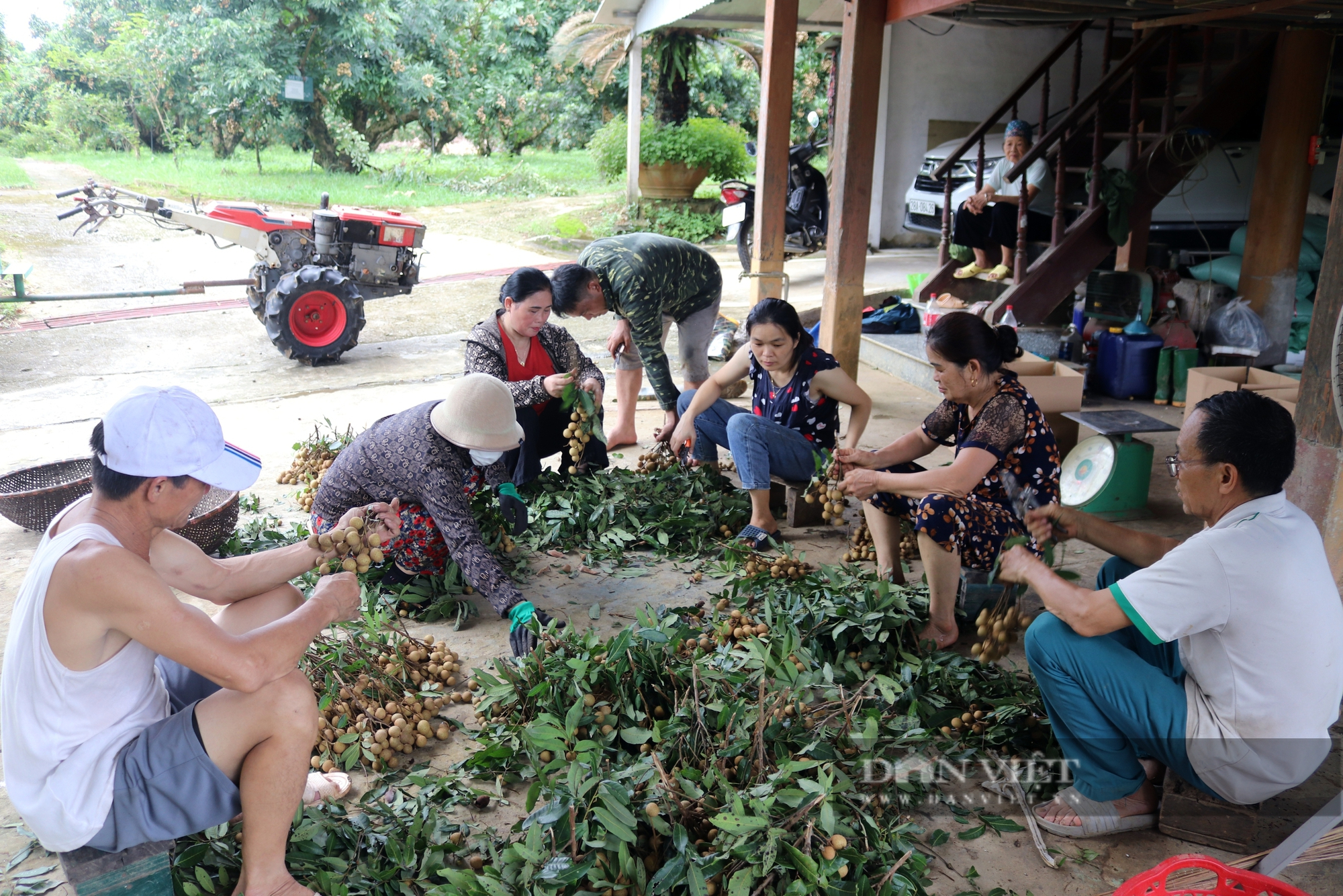 Thứ quả Thứ quả