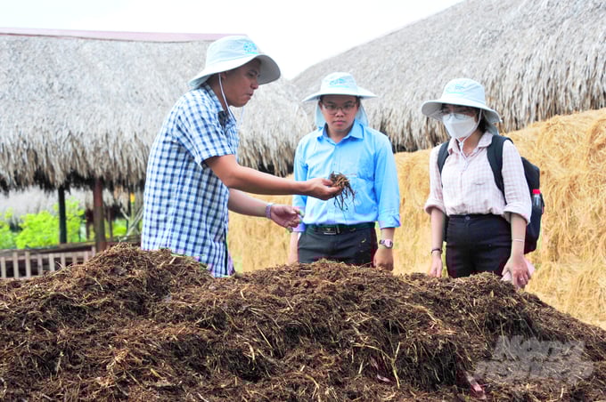 anh-2-111940_40-111941.jpg Tận dụng nguồn phế, phụ phẩm trong nông nghiệp làm phân hữu cơ vừa góp phần làm sạch môi trường, giảm phát thải, tạo công ăn việc làm và tăng thu nhập cho nông dân. Ảnh: Lê Hoàng Vũ.
