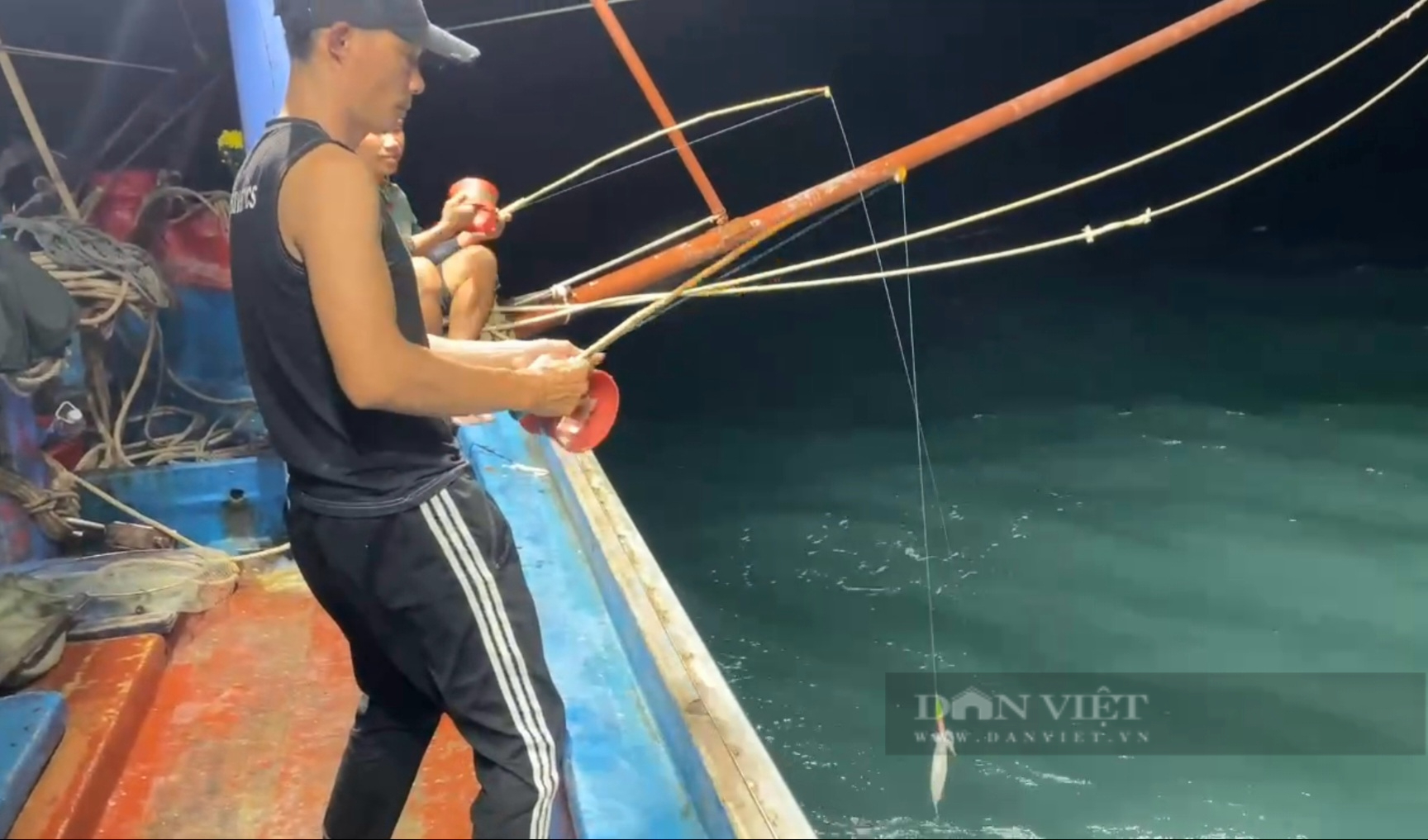 Hành trình câu mực đêm trên vùng vịnh Hòn La, ngư dân Quảng Bình bội thu cá mực tươi rói đưa vào bờ- Ảnh 2. Hành trình câu mực đêm trên vùng vịnh Hòn La, ngư dân Quảng Bình bội thu cá mực tươi rói đưa vào bờ- Ảnh 2.