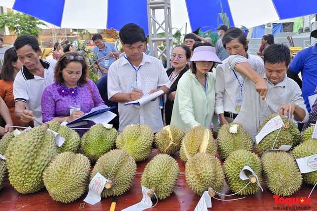 Khánh Hòa: Khai mạc lễ hội trái cây lần thứ 3 năm 2024 - Ảnh 2. Khánh Hòa: Khai mạc lễ hội trái cây lần thứ 3 năm 2024 - Ảnh 2.