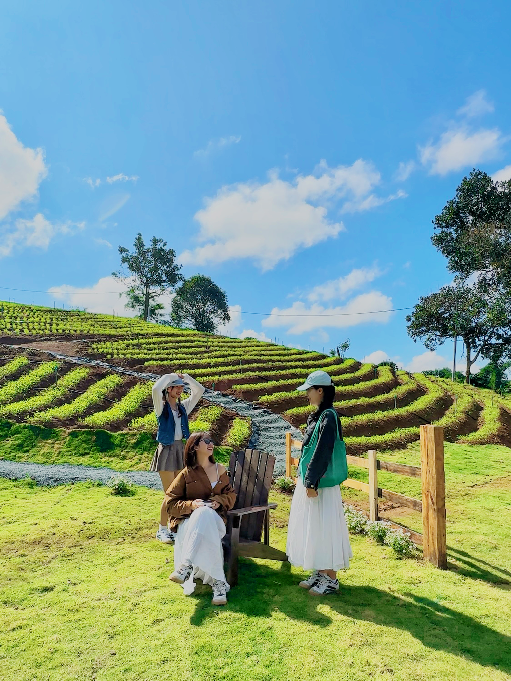 Xuất hiện đồi cỏ xanh ở Đà Lạt thu hút giới trẻ check-in - 2 Xuất hiện đồi cỏ xanh ở Đà Lạt thu hút giới trẻ check-in - 2