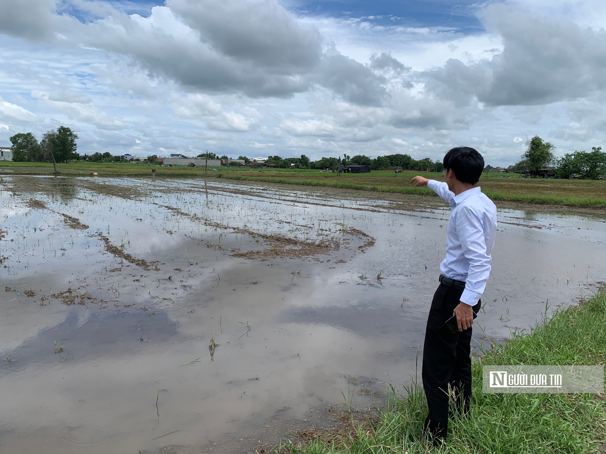 Hiểu đúng về việc thu hồi, gia hạn thời gian sử dụng đất tại Tp.HCM- Ảnh 3. Hiểu đúng về việc thu hồi, gia hạn thời gian sử dụng đất tại Tp.HCM- Ảnh 3.