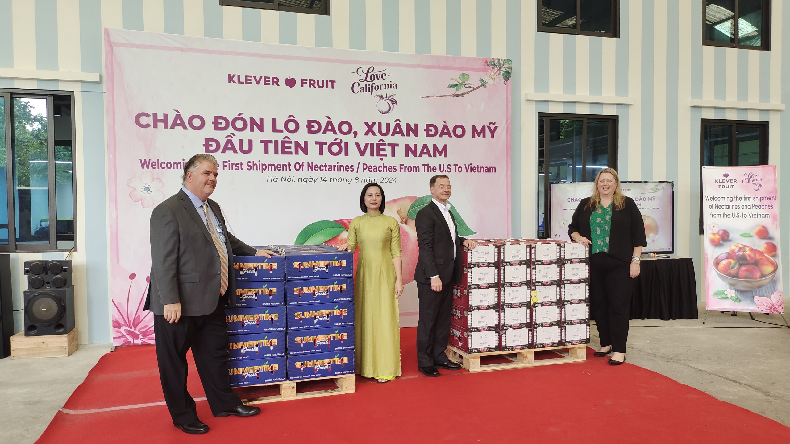 Lần đầu tiên Việt Nam nhập khẩu quả đào, xuân đào Mỹ, - Ảnh 3.